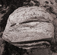 Impressionen Anne Jacobsen