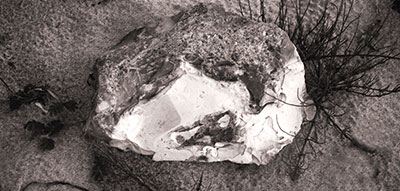 Impressionen Anne Jacobsen