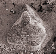 Impressionen Anne Jacobsen