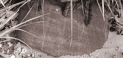 Impressionen Anne Jacobsen